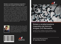 Sintesi e caratterizzazione magnetica del bismuto drogato ZnO Nanowires - Ahmed Kazmi, Syed Jamal;Ali Raza, Dr. Syed Raza