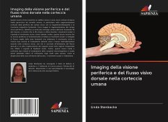 Imaging della visione periferica e del flusso visivo dorsale nella corteccia umana - Stenbacka, Linda