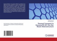 Thermal Transport in Stanene/2D-SiC Van Der Waals Heterostructure