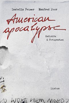 American apocalypse - Feimer, Isabella