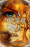 A Druids Tale (eBook, ePUB)