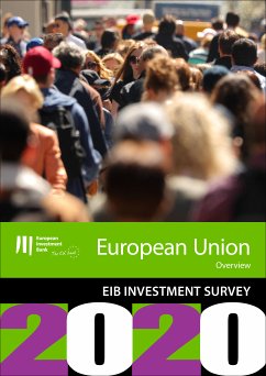 EIB Group Survey on Investment and Investment Finance 2020: EU overview (eBook, ePUB)