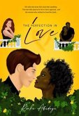 The Perfection in Love (eBook, ePUB)