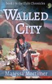 Walled City (eBook, ePUB)