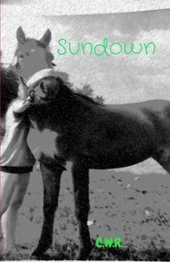 Cover Sundown (eBook, ePUB)