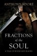 Fractions of the Soul (eBook, ePUB) - Bild 1
