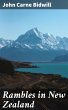 Rambles in New Zealand (eBook, ePUB) - Bild 1