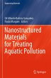 Nanostructured Materials for Treating... - Bild 1