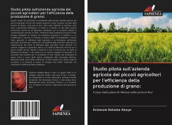 Studio pilota sull'azienda agricola dei piccoli agricoltori per l'efficienza della produzione di grano: - Debebe Aboye, Anbessie