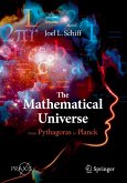 The Mathematical Universe