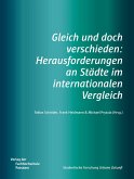 Gleich und doch verschieden: Herausforderungen an Städte im internationalen Vergleich