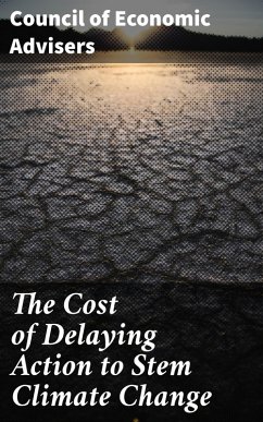 Cover The Cost of Delaying Action to Stem Climate Change (eBook, ePUB)