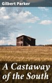 A Castaway of the South (eBook, ePUB)