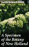 A Specimen of the Botany of New Holland (eBook, ePUB)