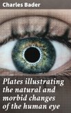 Plates illustrating the natural and morbid changes of the human eye (eBook, ePUB)