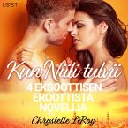 Kun Niili tulvii - 4 eksoottisen eroottista novellia (MP3-Download)