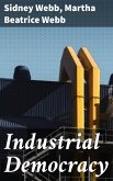 Industrial Democracy (eBook, ePUB)