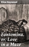 Fantomina, or, Love in a Maze (eBook, ePUB)