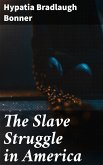 The Slave Struggle in America (eBook, ePUB)