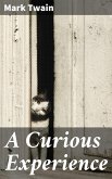 A Curious Experience (eBook, ePUB)