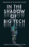 In the Shadow of Big Tech (eBook, ePUB)