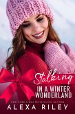 Stalking in a Winter Wonderland (eBook, ePUB)