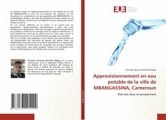 Cover Approvisionnement en eau potable de la ville de MBANGASSINA, Cameroun