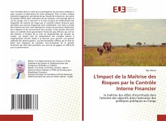 L'Impact de la Maîtrise des Risques par le Contrôle Interne Financier - Okana, Ray