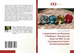 L¿exploitation de Diamant à Tshikapa / Province du Kasai en RDC et ses Consequences Socio-Environnementales