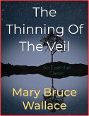 The Thinning Of The Veil (eBook, ePUB)
