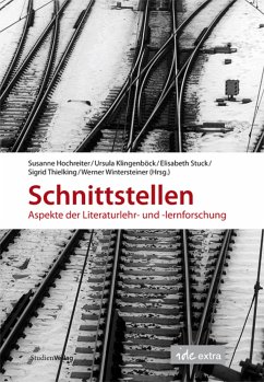 Schnittstellen (eBook, ePUB)