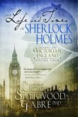 The Life and Times of Sherlock Holmes (eBook, ePUB)