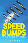 Speedbumps in the Middle of the Sea (eBook, ePUB)