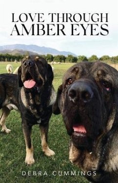 Love Through Amber Eyes (eBook, ePUB) - Cummings, Debra