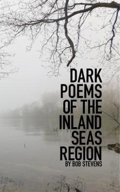 Cover Dark Poems of the Inland Seas Region (eBook, ePUB)