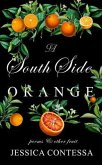 A South Side Orange (eBook, ePUB)