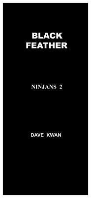 Cover BLACK FEATHER NINJANS 2 (eBook, ePUB)