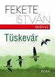Tüskevár (eBook, ePUB) - Bild 1