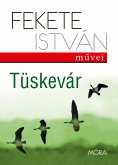 Tüskevár (eBook, ePUB)