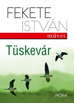 Tüskevár (eBook, ePUB) - Fekete, István