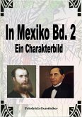 In Mexiko Bd. 2 (eBook, ePUB)
