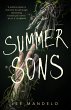 Summer Sons (eBook, ePUB) - Bild 1