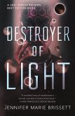 Destroyer of Light (eBook, ePUB)