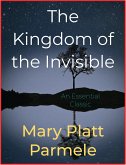 The Kingdom of the Invisible (eBook, ePUB)