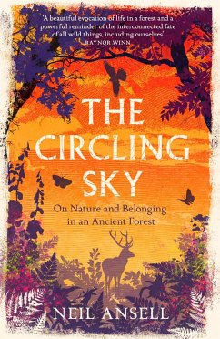The Circling Sky - Ansell, Neil