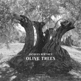 Jacques Berthet: Olive Trees