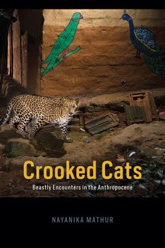 Crooked Cats - Mathur, Nayanika