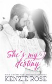 She's My Destiny (The Vineyard's of Love Series, #2) (eBook, ePUB)