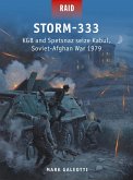Storm-333 (eBook, ePUB)