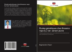 Études génétiques chez Brassica rapa (L.) var. sarson jaune - Tiwari, Raghvendra